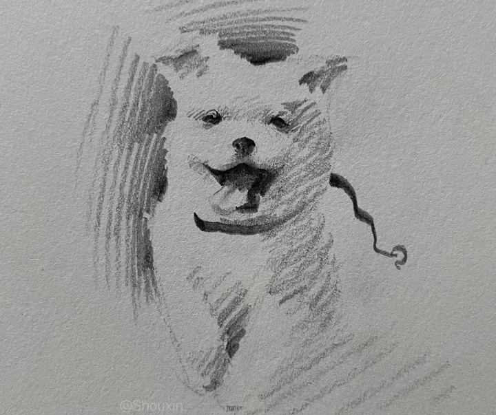 Gallery of Drawing by Shou Xin - China