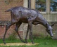 Gallery of Sculpture by Adam Roud - UK