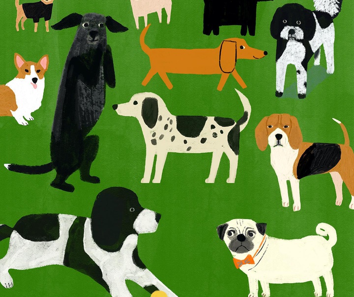 Gallery of Illustration by Anne Bentley - USA