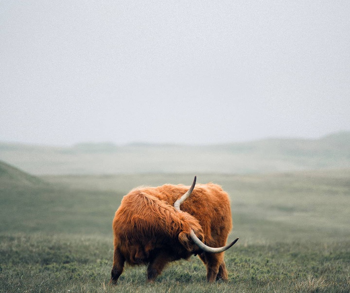 Gallery of Photography by Liam Man - UK