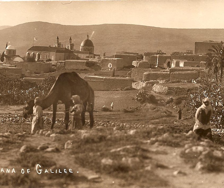 Gallery of Photos by Karimeh Abbud- Palestine