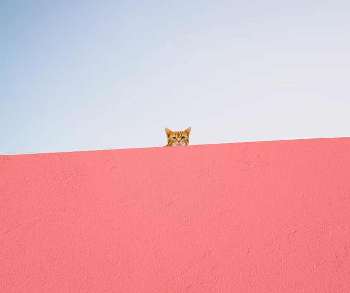 Gallery of Photography by Benjamin Wolf - USA