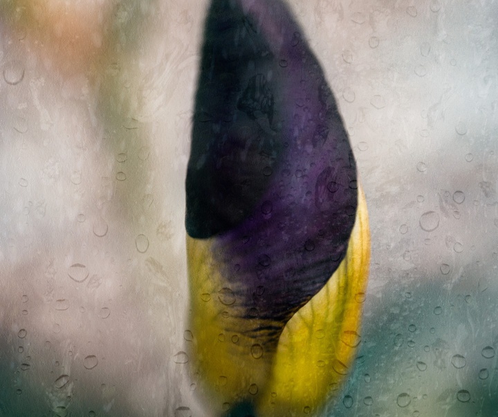 Gallery of photography by Hany Hossameldin - Egypt