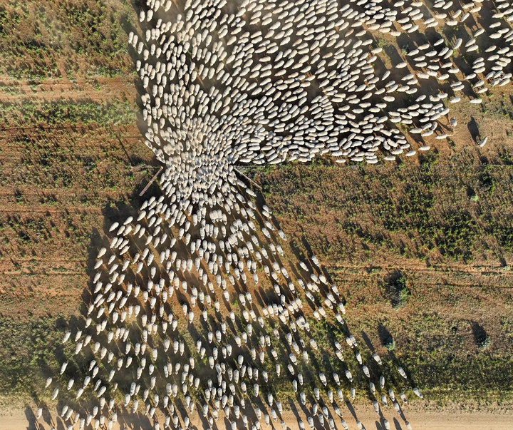 Gallery of Photography by James Harrison - Australia