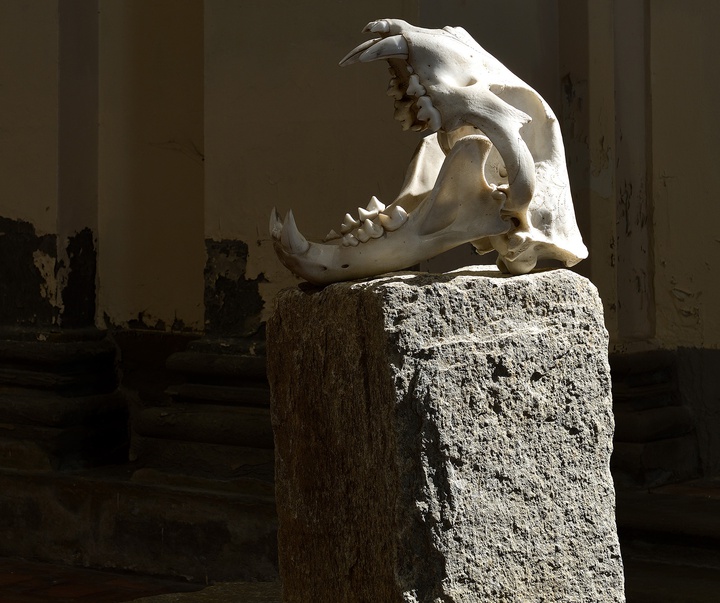Gallery of Sculpture by Fabio Viale - Italy