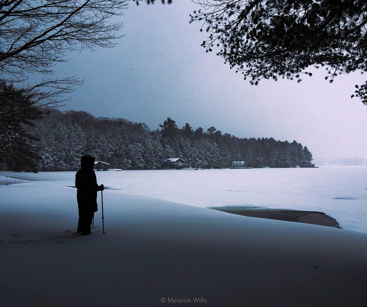 Gallery of Photography by Melanie Wills - Canada