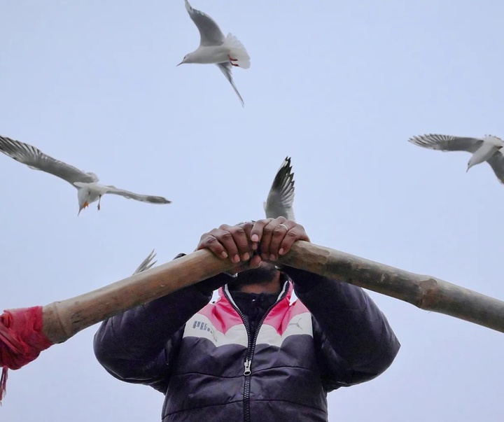 Gallery of Photography by Pranay Pariyar - India