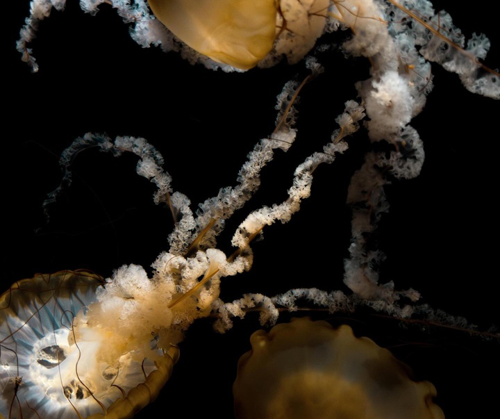 Gallery of Photography by Abbey Bratcher Parish - USA