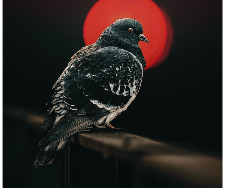 Gallery of Photography by Chris Panas - Poland