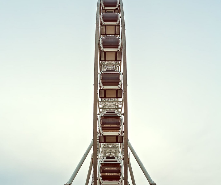Gallery of Photography by Emma Steele