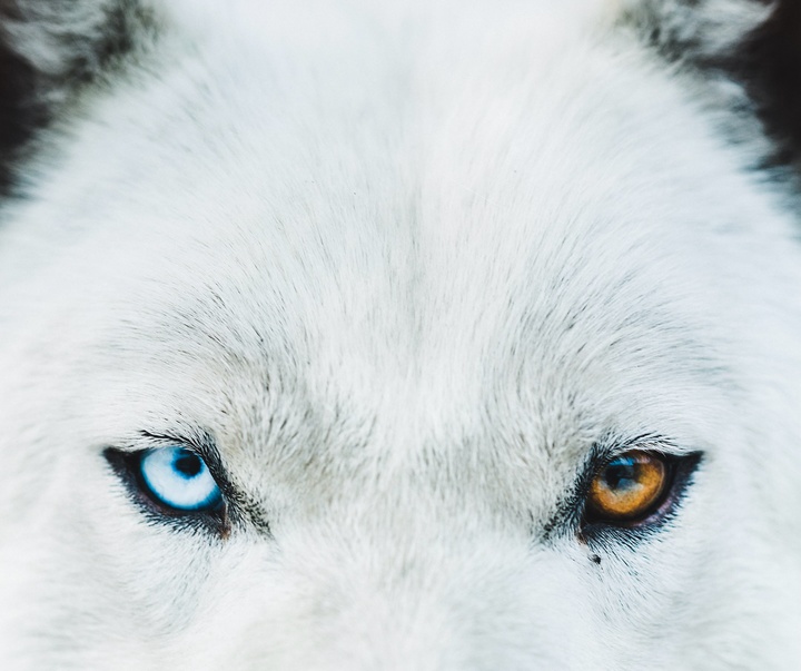 Gallery of Photography by Benjamin Hardman - Iceland