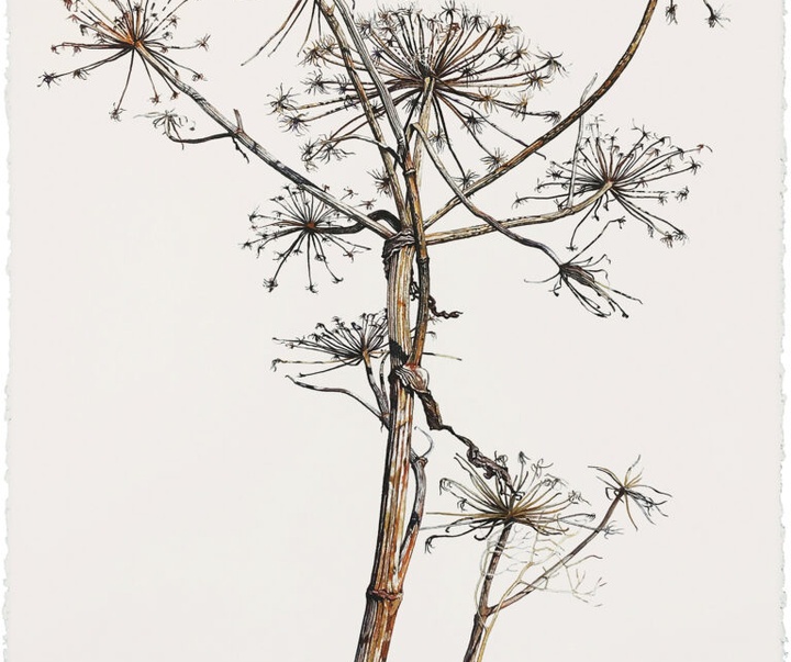 Gallery of Painting & Drawing by Robin Uleman - Netherlands