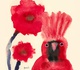 Gallery of Illustration by Yumi Kimura - Japan
