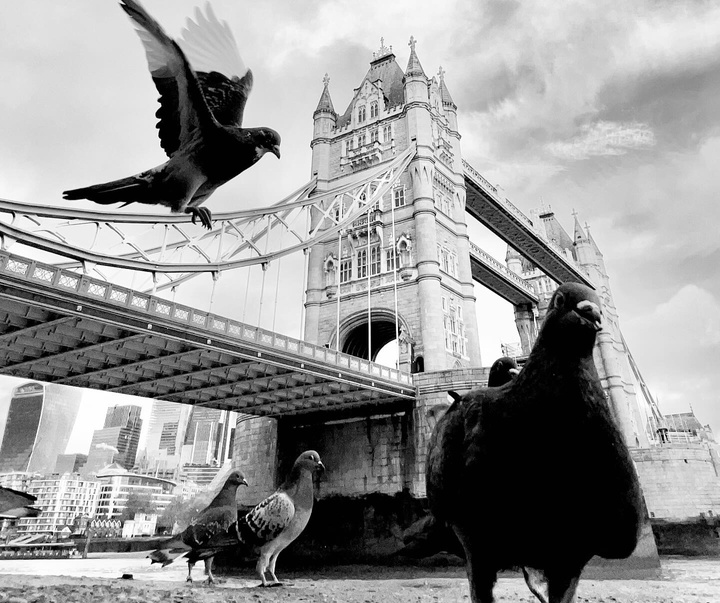 Gallery of Photography by Dimpy Bhalotia - India