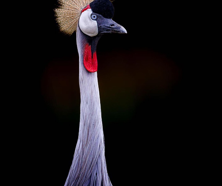 Gallery of Photography by Chad Cocking