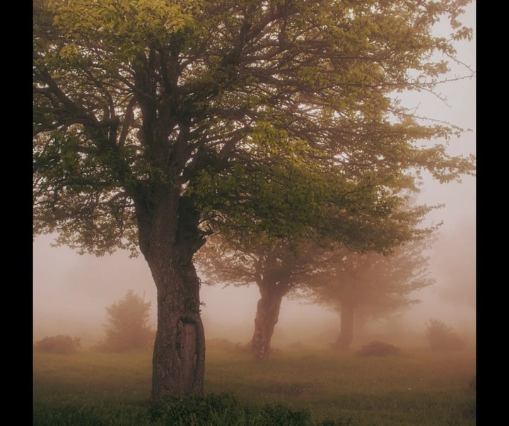 Gallery of Photography by Javad Jahanbin- Iran