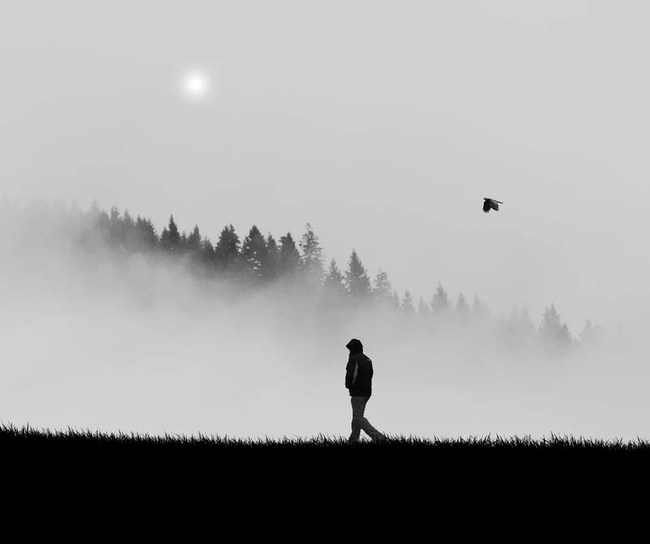Gallery of Photography by Benjamin Wolf - USA