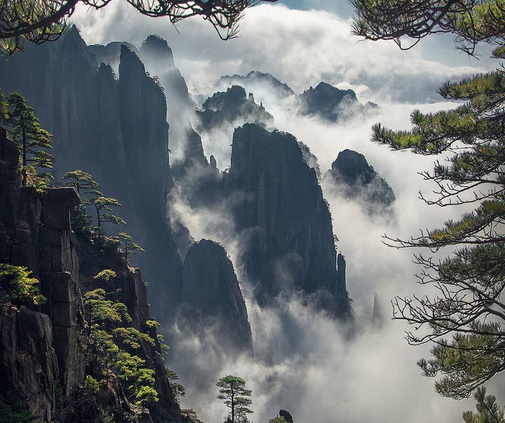 Gallery of Photography by Max Rive - Netherlands