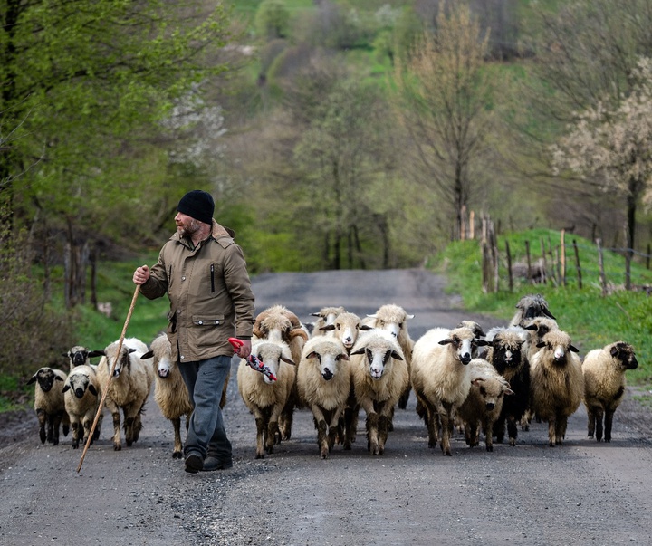 Gallery of Photography by Niyazi Gürgen - Turkey