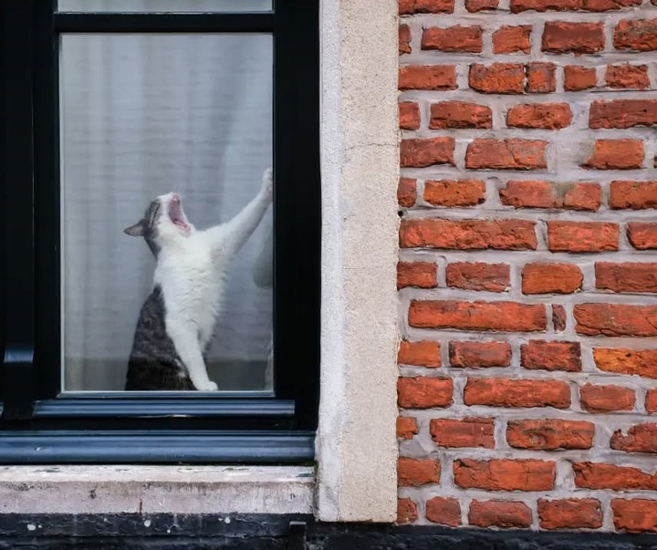 Gallery of Photography by Jeffrey De Keyser - Belgium