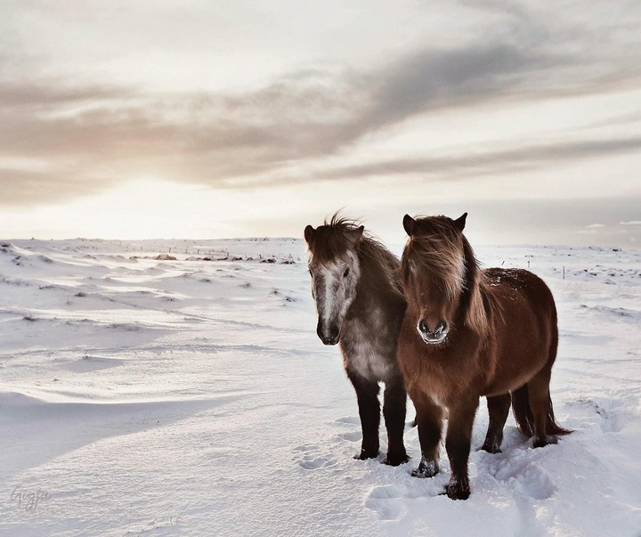 Gallery of Photography by Gigja Einars - Iceland
