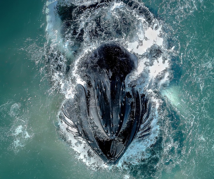 Gallery of Photography by Joanna Steidle - USA