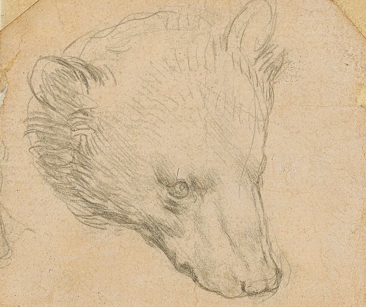 Gallery of the best Drawing in the history of art, part Two