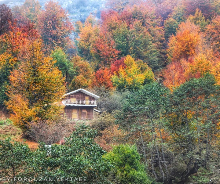 Gallery of Photography by Forouzan Yektaee-Iran