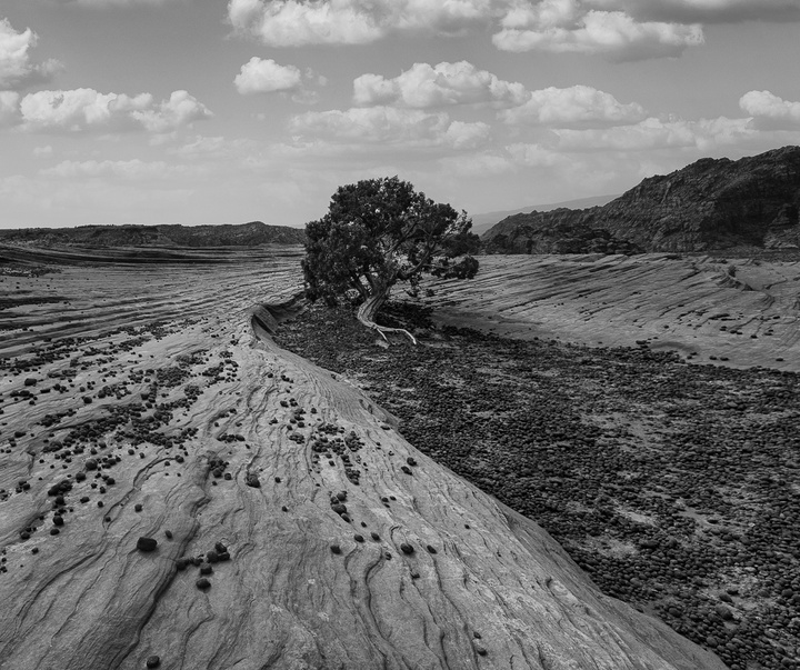 Gallery of photography by G.B. Smith - England