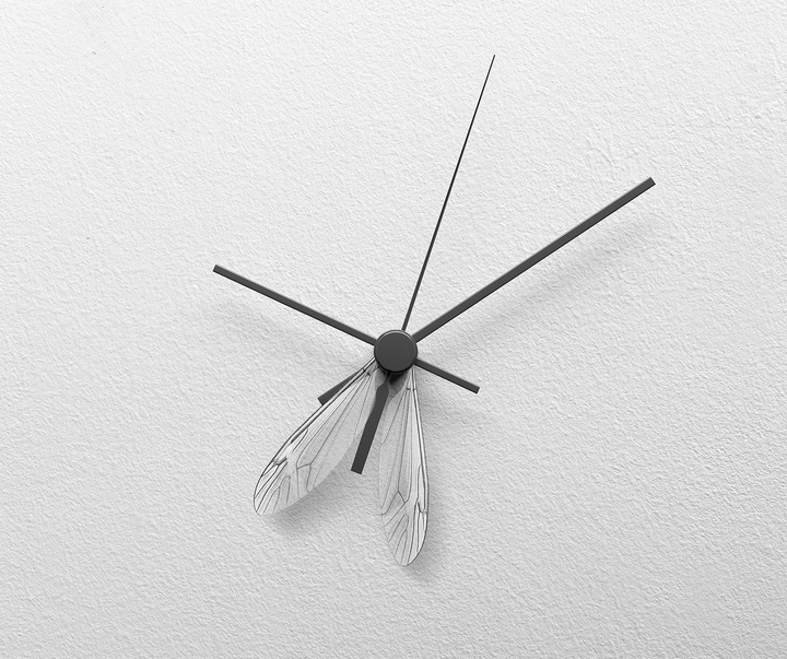 Gallery of Graphics by J.M Navarro