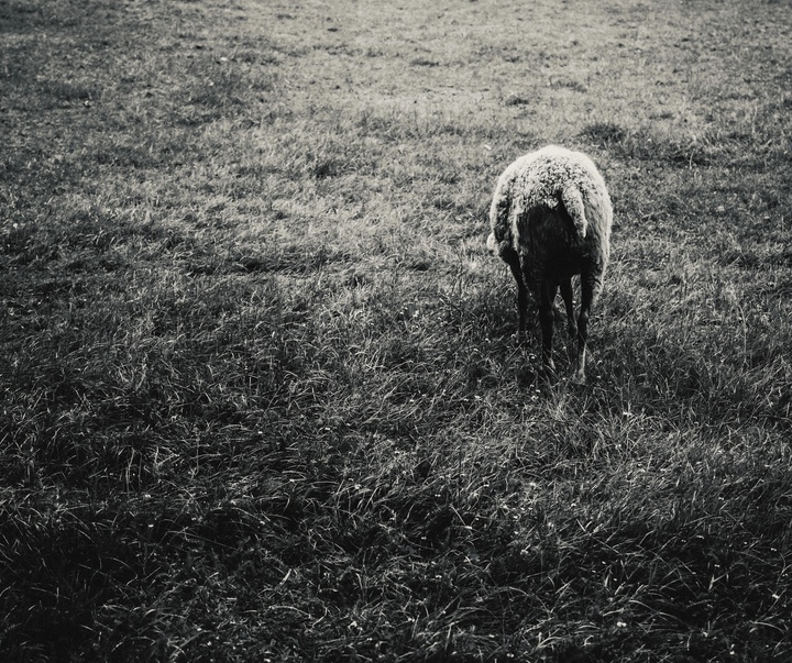 Gallery of Photography by Kalle Saarikko - Finland