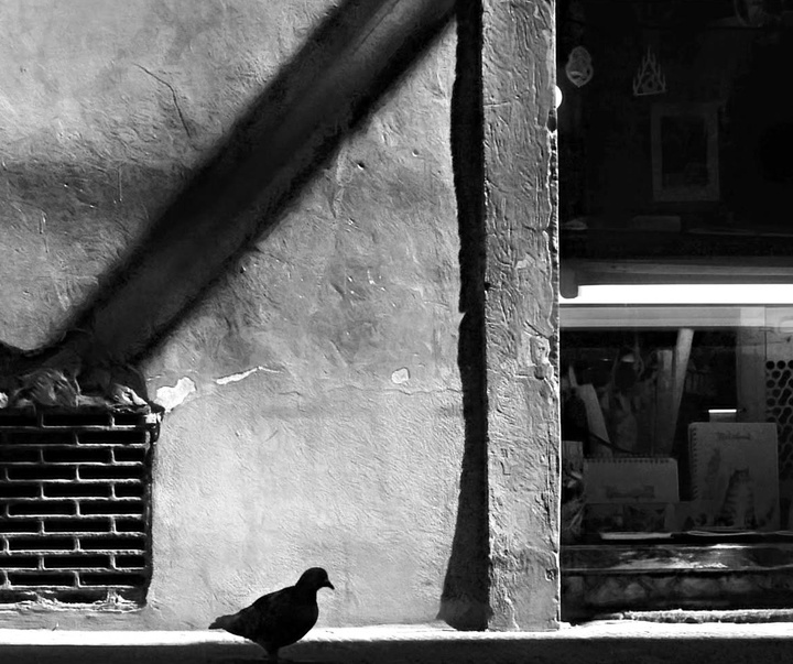 Gallery of Photography by Edgar Lascurain - Mexico