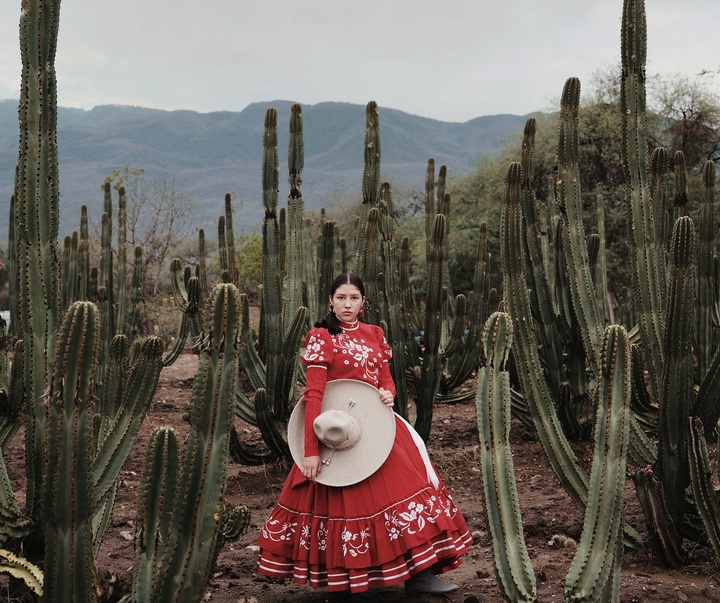 Gallery of Photography by Luisa Dörr - Brazil