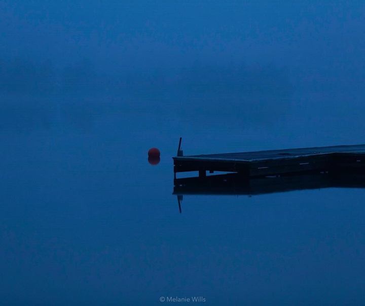 Gallery of Photography by Melanie Wills - Canada