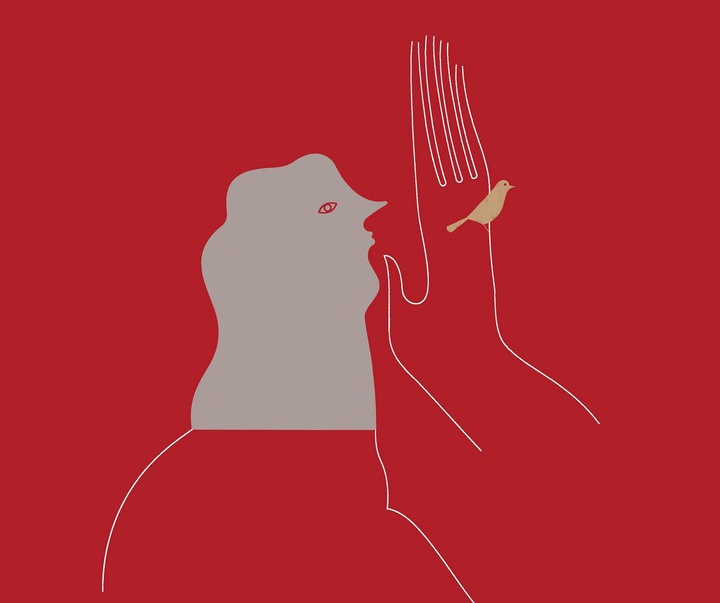 Gallery of illustration by Silvia Casanova Fenollosa-Spain