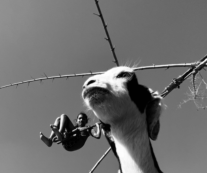 Gallery of Photography by Dimpy Bhalotia - India
