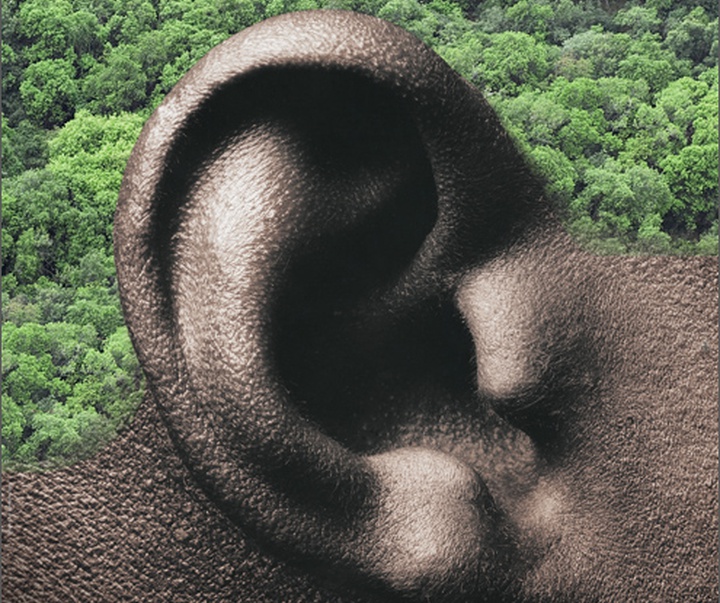 gallery of Graphics by Chaz Maviyane-Davies - Zimbabwe