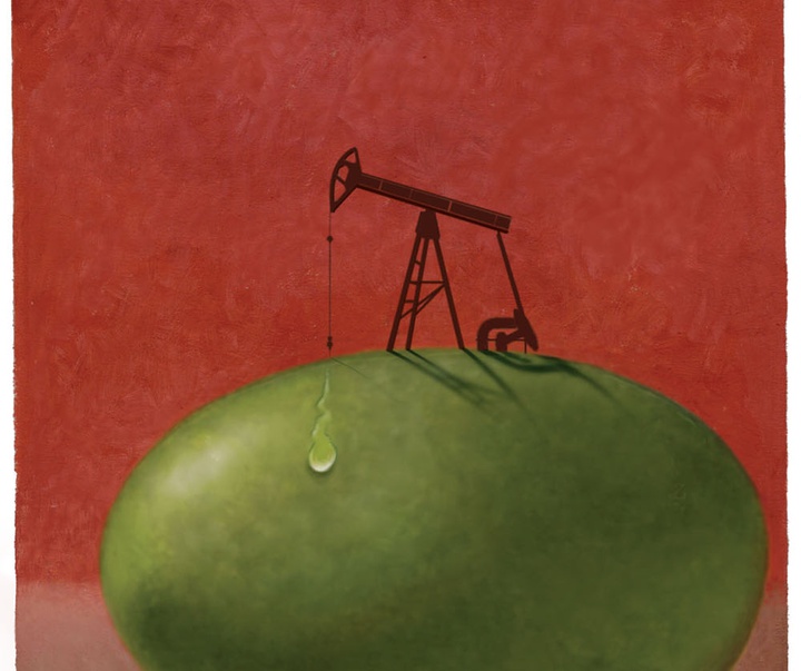 Gallery of Cartoon by Zygmunt Zaradkiewicz-Poland