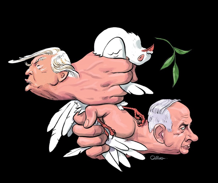 Gallery ofvthe best cartoon in the world