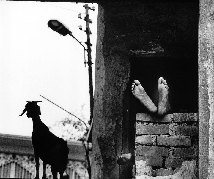 Gallery of Photography by Walter Rothwell - UK
