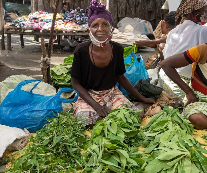 Gallery of photography by Grég. E. - Mozambique