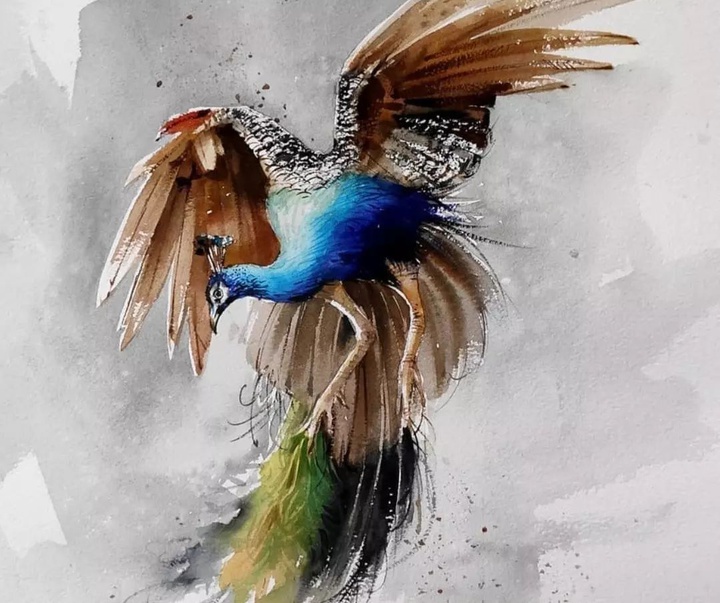 Gallery of Watercolor painting by Prakashan Puthur-India