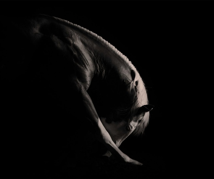 Gallery of Photography by Constance Jaeggi - Switzerland