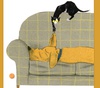 Gallery of Illustration by Wolf Erlbruch - Germany