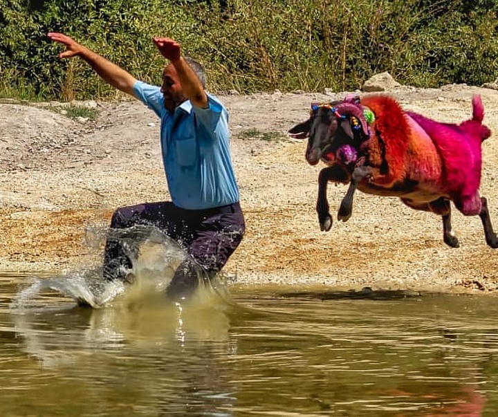 Gallery of photography by Dr.Aylin Yildirim - Turkey