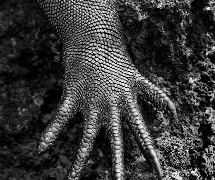 Gallery of Photography by Sebastião Salgado - Brazil