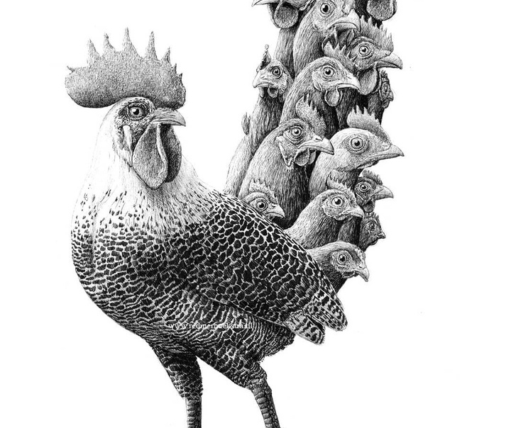 Redmer Hoekstra