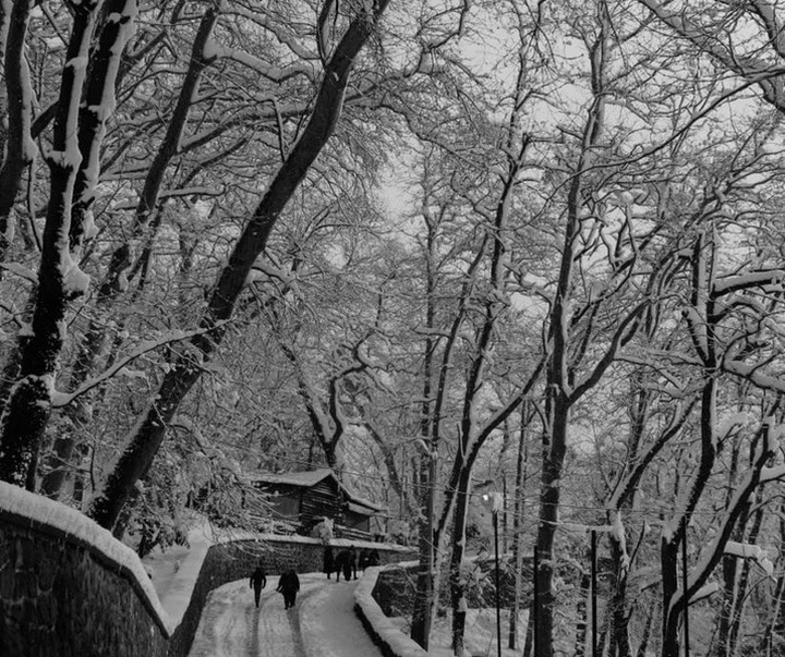 Gallery of photography by Asli Karabiçak - Turkey