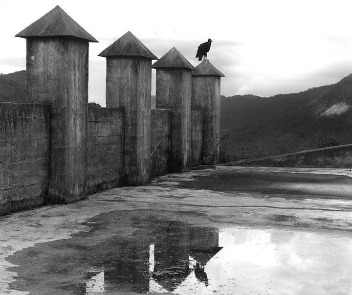 Gallery of Photography by Flor Garduño - Mexico