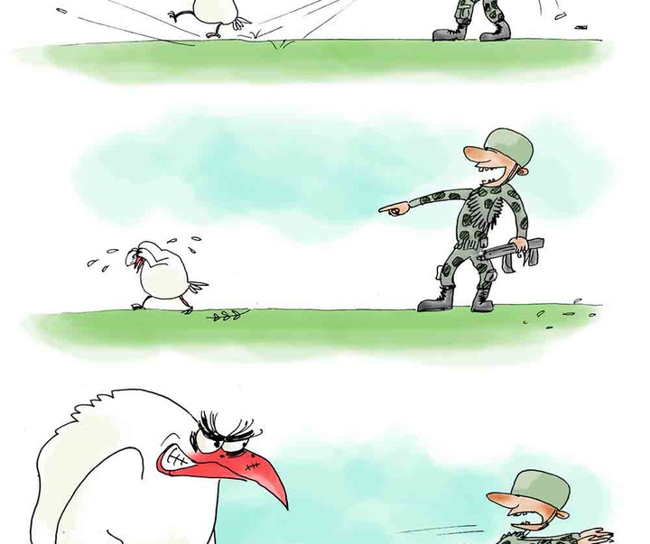 vahideh fallahi